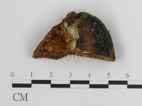 登錄號:F0018838藏品圖，第1張