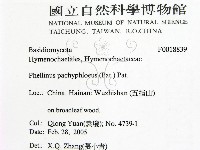登錄號:F0018839藏品圖，第2張