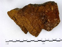 登錄號:F0018839藏品圖，第1張
