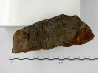 登錄號:F0018839藏品圖，第3張
