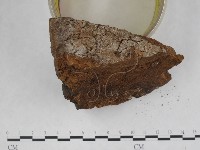 登錄號:F0018839藏品圖，第5張