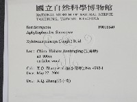 登錄號:F0018840藏品圖，第2張