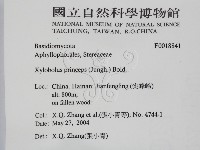 登錄號:F0018841藏品圖，第2張