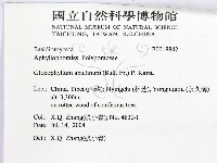 登錄號:F0018842藏品圖，第2張