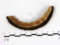 登錄號:F0018842藏品圖，第1張
