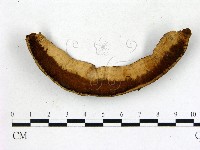 登錄號:F0018842藏品圖，第3張
