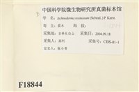 登錄號:F0018844藏品圖，第2張