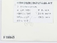 登錄號:F0018845藏品圖，第2張