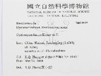 登錄號:F0018845藏品圖，第3張