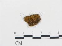 登錄號:F0018845藏品圖，第1張