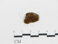 登錄號:F0018845藏品圖，第4張