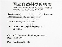 登錄號:F0018846藏品圖，第2張