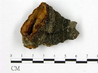 登錄號:F0018846藏品圖，第1張