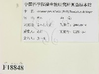 登錄號:F0018848藏品圖，第2張