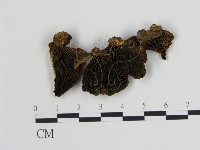 登錄號:F0018848藏品圖，第1張