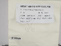 登錄號:F0018849藏品圖，第2張