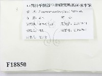 登錄號:F0018850藏品圖，第3張
