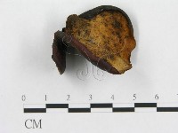 登錄號:F0018850藏品圖，第1張