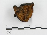 登錄號:F0018850藏品圖，第4張
