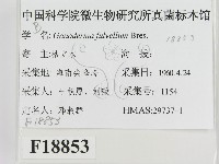 登錄號:F0018853藏品圖，第2張