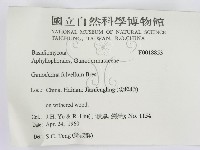 登錄號:F0018853藏品圖，第3張
