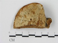 登錄號:F0018853藏品圖，第4張