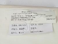 登錄號:F0018854藏品圖，第2張