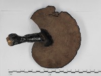 登錄號:F0018855藏品圖，第3張