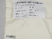 登錄號:F0018856藏品圖，第2張