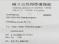 登錄號:F0018856藏品圖，第3張