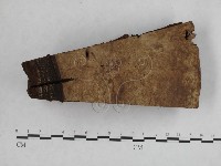 登錄號:F0018856藏品圖，第4張