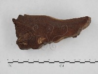 登錄號:F0018856藏品圖，第5張