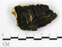 登錄號:F0018857藏品圖，第1張