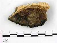登錄號:F0018857藏品圖，第3張