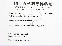 登錄號:F0018858藏品圖，第2張