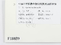 登錄號:F0018859藏品圖，第2張