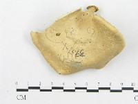 登錄號:F0018860藏品圖，第1張