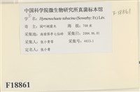 登錄號:F0018861藏品圖，第2張