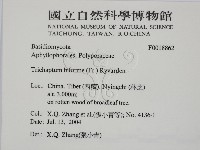 登錄號:F0018862藏品圖，第2張