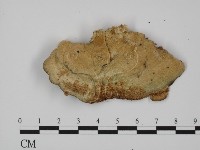 登錄號:F0018862藏品圖，第1張