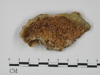登錄號:F0018862藏品圖，第3張