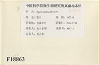 登錄號:F0018863藏品圖，第2張