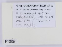登錄號:F0018864藏品圖，第2張