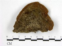 登錄號:F0018865藏品圖，第3張