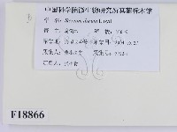 登錄號:F0018866藏品圖，第2張