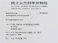 登錄號:F0018866藏品圖，第3張