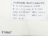 登錄號:F0018867藏品圖，第2張