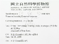 登錄號:F0018868藏品圖，第3張