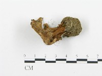 登錄號:F0018868藏品圖，第1張