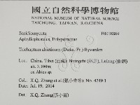 登錄號:F0018869藏品圖，第2張